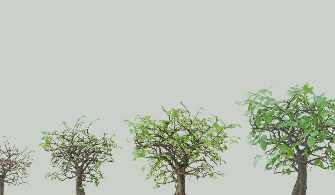 Brand Consistency: The Hill We’re Willing to Die On